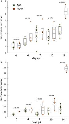 Anaplasma phagocytophilum-Related Defects in CD8, NKT, and NK Lymphocyte Cytotoxicity